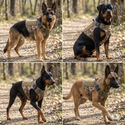 NonoPets Versatile Tactical Front Clip Dog & Cat Vest Harness with Easy-Control Handle, Camouflage, Medium: 14.2 to 17.3-in chest slide 2 of 5
