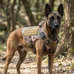 NonoPets Versatile Tactical Front Clip Dog & Cat Vest Harness with Easy-Control Handle, Camouflage, Medium: 14.2 to 17.3-in chest