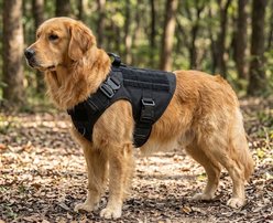 NonoPets Versatile Tactical Front Clip Dog & Cat Vest Harness with Easy-Control Handle, Black, X-Large: 32 to 45-in chest