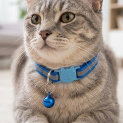NonoPets Embroidered Floral Dog & Cat Collar with Safety Buckle & Bell, 12.6-in neck, 1/2-in wide, Blue slide 2 of 2