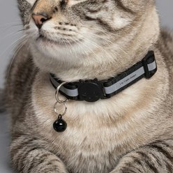 NonoPets Reflective Cat & Dog Collar with Safety Buckle & Bell, 12.6-in neck, 1/2-in wide, Black slide 2 of 2