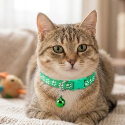 NonoPets Reflective Paw Print Cat Collar with Safety Breakaway Buckle & Bell, 12.6-in neck, 1/2-in wide, Green slide 2 of 2