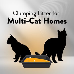 Arm & Hammer Litter Platinum Hardball Garden Bloom Lightweight Easy No-Mess Scooping Clumping Cat Litter, 14.5-lb bag