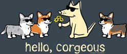 Teddy the Dog Hello Corgeous Classic Tee, Midnight Dream, XXX-Large slide 2 of 2