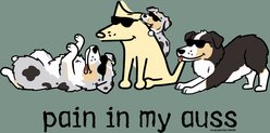 Teddy the Dog Pain in My Auss Classic Tee, Seaglass, X-Large slide 2 of 2