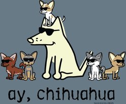 Teddy the Dog Ay Chihuahua Classic Tee, Bluestone, XXX-Large slide 2 of 2