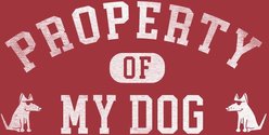 Teddy the Dog Property of My Dog Classic Tee, Fire Brick, X-Large slide 2 of 2