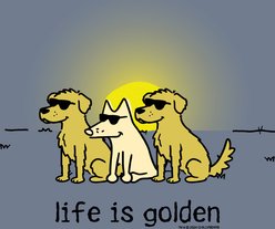 Teddy the Dog Life is Golden Classic Tee, Bluestone, XXX-Large slide 2 of 2