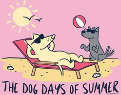Teddy the Dog The Dog Days of Summer Classic Tee, Sweet Pink, Large slide 2 of 2