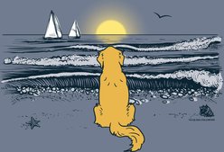 Teddy the Dog Golden Hour Classic Tee, Bluestone, XXX-Large slide 2 of 2