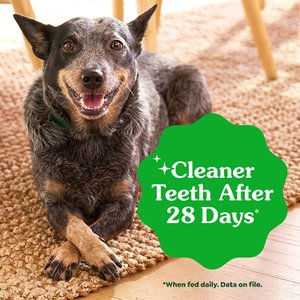 Greenies Regular Natural Puppy Dental Dog Treats, 12 count