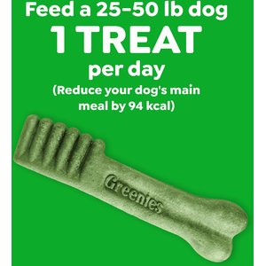 Greenies Regular Natural Puppy Dental Dog Treats, 12 count