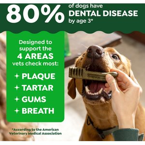 Greenies Regular Natural Puppy Dental Dog Treats, 12 count