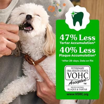 Show full view: Greenies Pumpkin Spice Flavor Dental Dog Treats, Teenie, 43 count slide 10 of 10