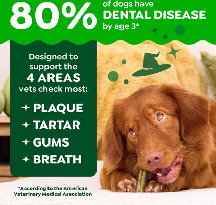 Show full view: Greenies Pumpkin Spice Flavor Dental Dog Treats, Teenie, 43 count slide 6 of 10