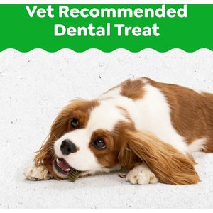 Greenies Regular Natural Puppy Dental Dog Treats, 12 count