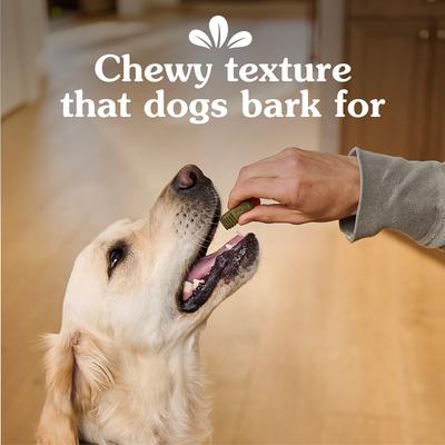 Show full view: Greenies Anytime Bites Original Chicken Flavor Soft & Chewy Dog Treats, 10.3-oz bag slide 9 of 10