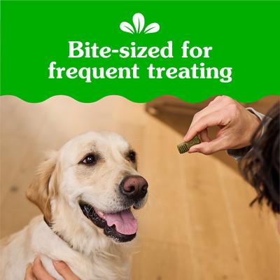 Show full view: Greenies Anytime Bites Original Chicken Flavor Soft & Chewy Dog Treats, 10.3-oz bag slide 6 of 10