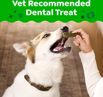 Show full view: Greenies Pumpkin Spice Flavor Dental Dog Treats, Teenie, 43 count slide 5 of 10