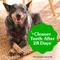 Show in main carousel: Greenies Blueberry Regular Dental Dog Treats, 12 count slide 9 of 11
