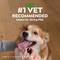 Show in main carousel: Greenies Pill Pockets Canine Chicken Flavor Natural Dog Treats, Capsule Size, 60 count slide 10 of 10