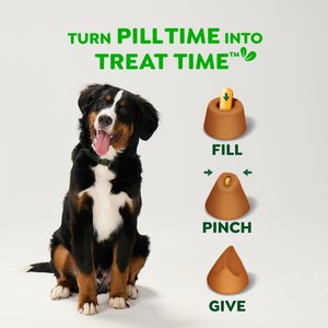 Greenies Pill Pockets Canine Chicken Flavor Natural Dog Treats, Capsule Size, 60 count