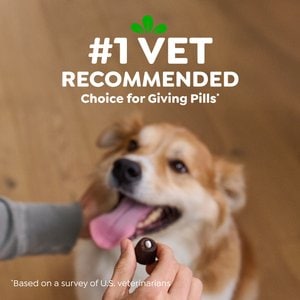 Greenies Pill Pockets Canine Real Peanut Butter Flavor Natural Dog Treats, Capsule Size, 30 count