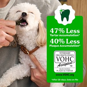 Greenies Large Natural Original Chicken Flavor Dental Dog Treats, 24 count
