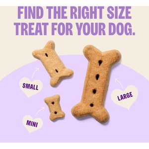 Old Mother Hubbard by Wellness Classic P-Nuttier Natural Mini Oven-Baked Biscuits Dog Treats, 6-lb box