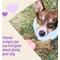Show in main carousel: Old Mother Hubbard by Wellness Classic P-Nuttier Natural Large Oven-Baked Biscuits Dog Treats, 6-lb box slide 5 of 12