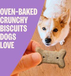 Old Mother Hubbard by Wellness Classic P-Nuttier Natural Large Oven-Baked Biscuits Dog Treats, 6-lb box slide 2 of 9