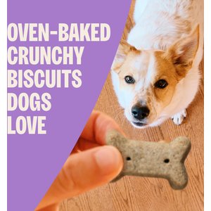 Old Mother Hubbard by Wellness Classic P-Nuttier Natural Mini Oven-Baked Biscuits Dog Treats, 6-lb box