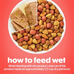 Purina Beneful Loaf Beef & Peas Wet Dog Food, 5.5-oz can, 12 count slide 2 of 8