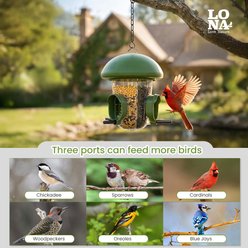 LONA Love Nature Weatherproof Finch Wild Bird Tube Feeder, Green, 800-mL slide 2 of 9