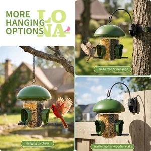 LONA Love Nature Weatherproof Finch Wild Bird Tube Feeder, Green, 800-mL