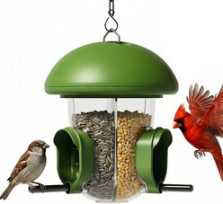 LONA Love Nature Weatherproof Finch Wild Bird Tube Feeder, Green, 800-mL