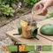 Show in main carousel: LONA Love Nature Weatherproof Finch Wild Bird Tube Feeder, Green, 800-mL slide 2 of 10
