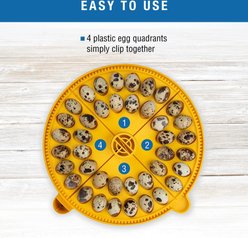 Brinsea Maxi 24 Advance Automatic Incubator Chicken & Quail Egg Carrier, 40 eggs slide 2 of 8