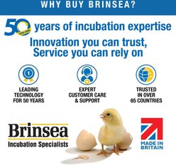 Brinsea Maxi 24 Incubator X-Large Egg Quadrant Tray, 8 eggs slide 2 of 8
