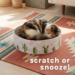 Kitty City Cacti Print Scratcher Bed Cat Toy, Multicolor slide 2 of 7