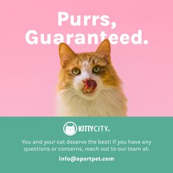 Kitty City Polypropylene Cat Ear Elevated Bowls, Pink & Teal Blue, 6.5-oz, 2 count slide 2 of 6