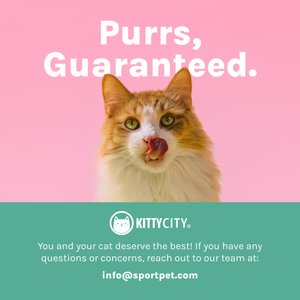 Kitty City Polypropylene Cat Ear Elevated Bowls, Pink & Teal Blue, 6.5-oz, 2 count