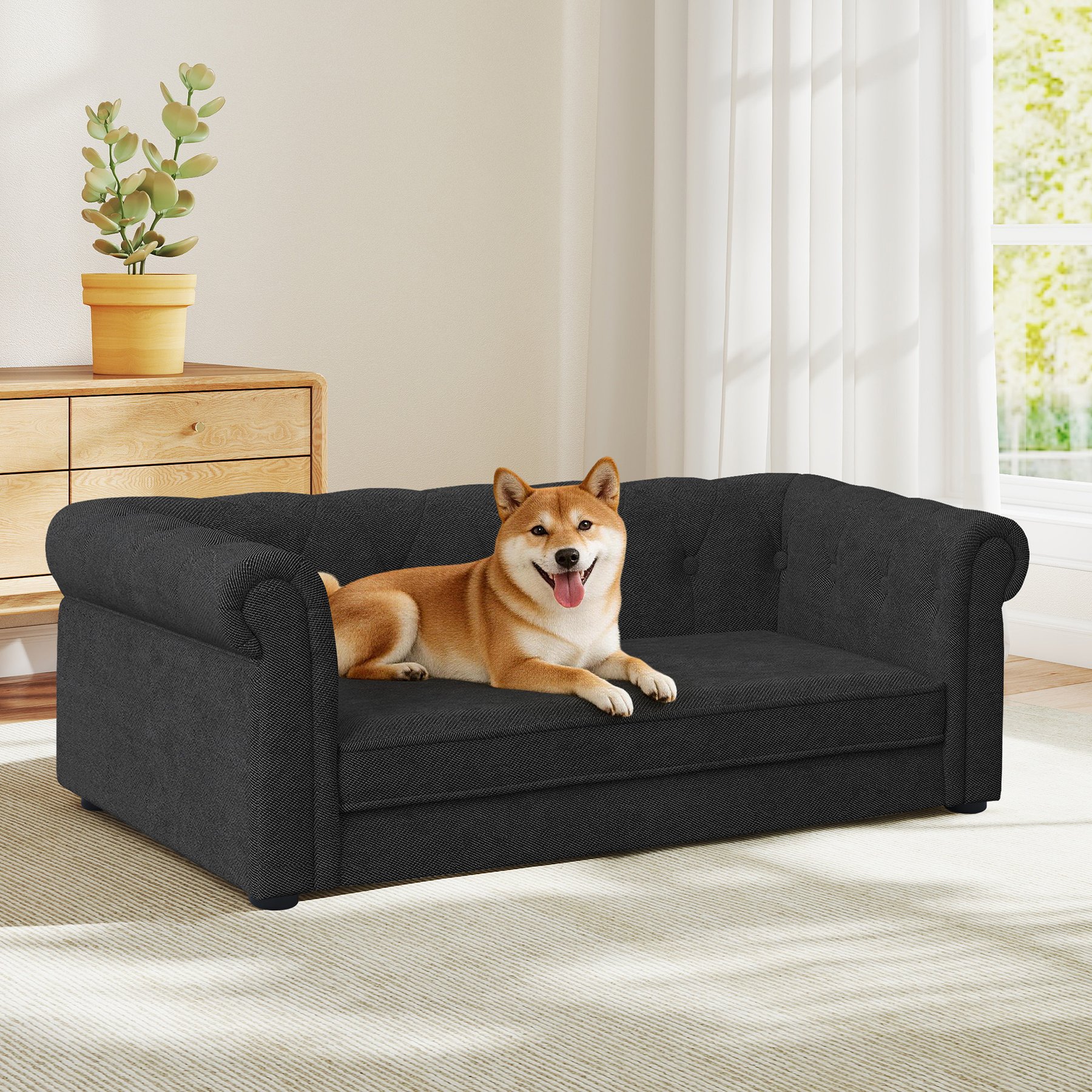 Yafylly Modern Couch Memory Foam Furniture Style Dog Sofa Bed, Medium: 38 x 23 x 14-in, Black