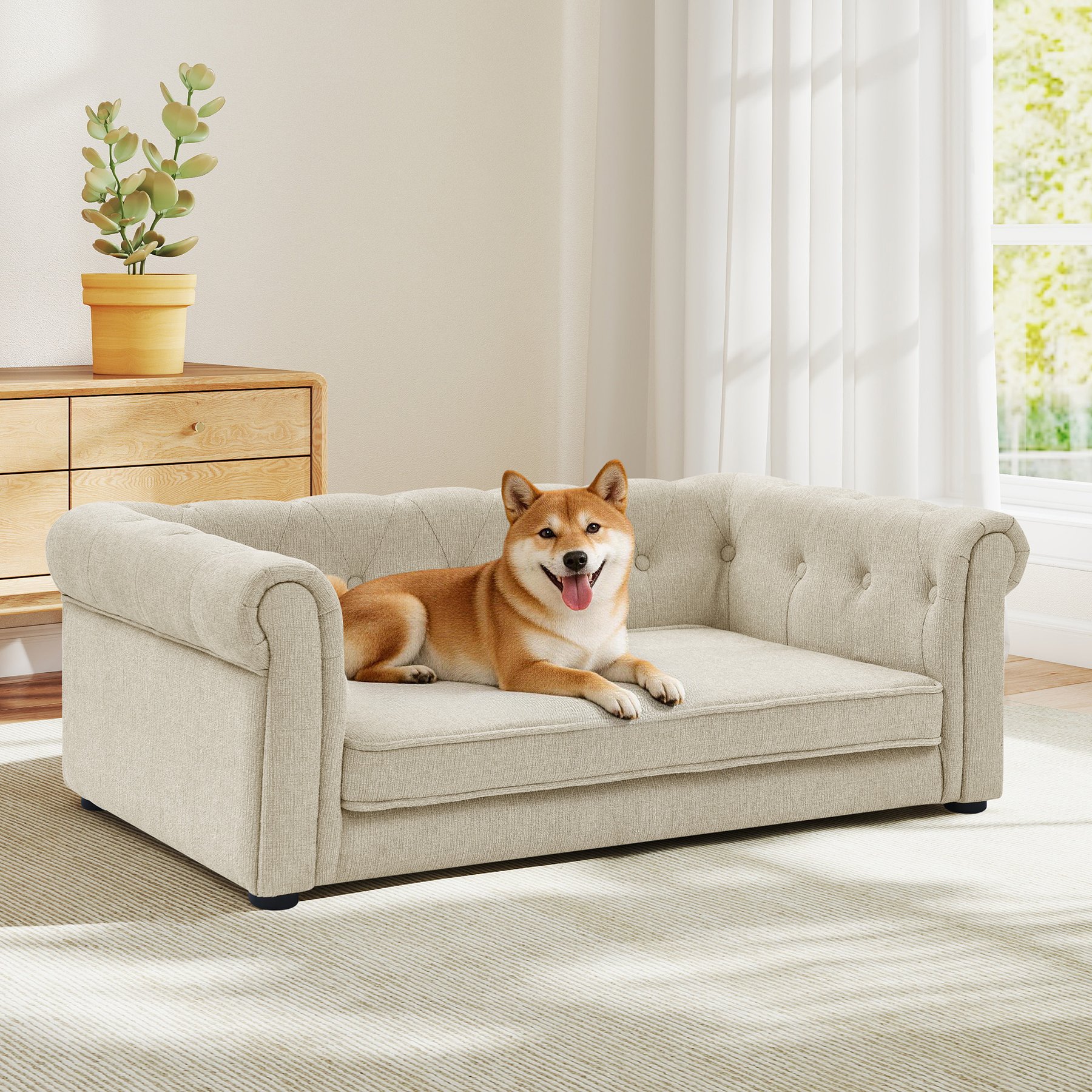 Yafylly Modern Couch Memory Foam Furniture Style Dog Sofa Bed, Medium: 38 x 23 x 14-in, Beige