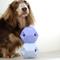 Show in main carousel: Up Dog Shop The Odin Treat Dispensing Dog Toy, Slate Grey slide 6 of 9