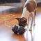 Show in main carousel: Up Dog Shop The Odin Treat Dispensing Dog Toy, Slate Grey slide 5 of 9