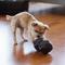 Show in main carousel: Up Dog Shop The Odin Treat Dispensing Dog Toy, Slate Grey slide 8 of 9