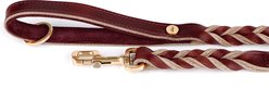 myfamily Ascot Dog Leash, Red, 6-ft long, 1-in wide