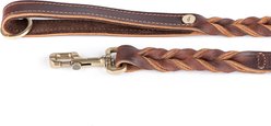 myfamily Ascot Dog Leash, Brown, 4-ft long, 1-in wide