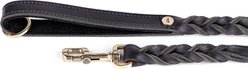 myfamily Ascot Dog Leash, Black, 4-ft long, 1-in wide